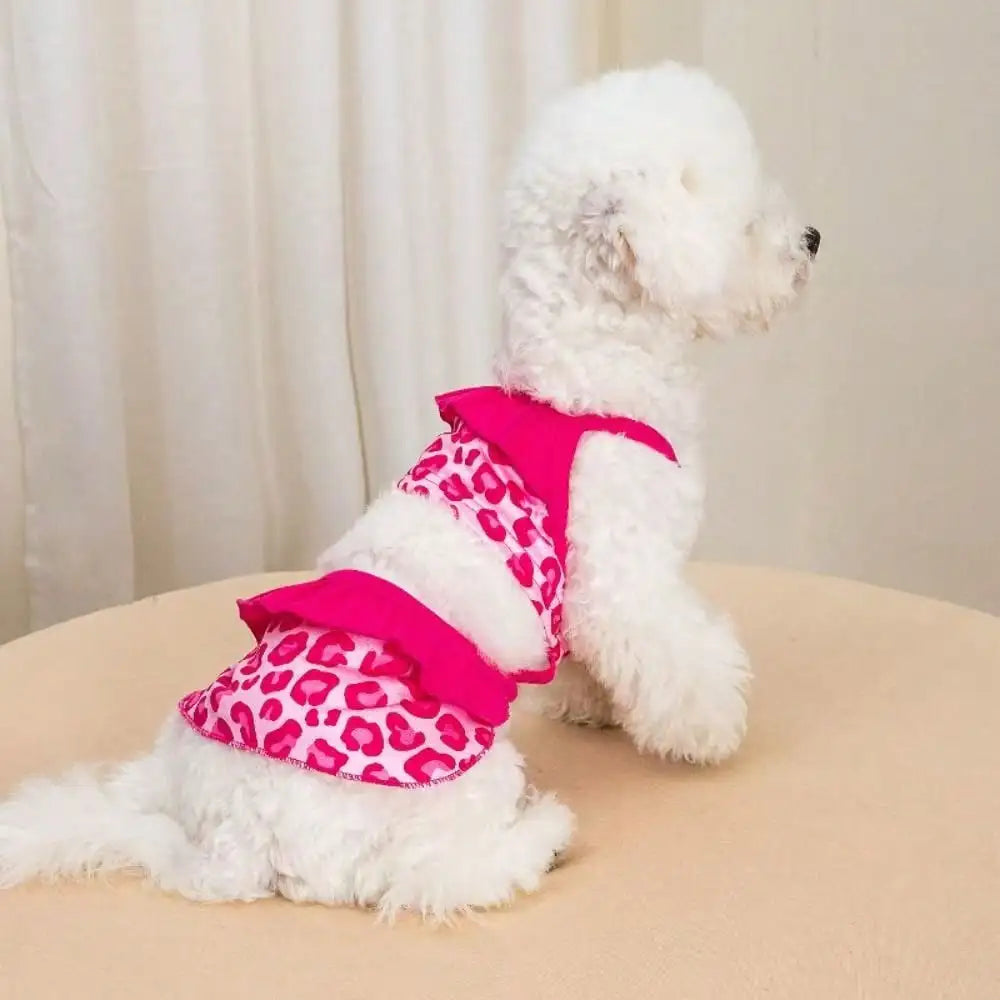 Elegant Lace Camisole Dress For Small Dogs And Outdoor Travel