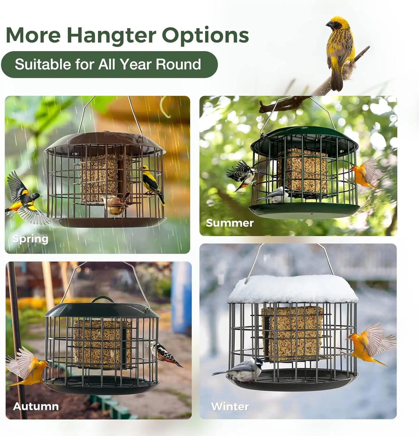 Squirrel Proof Suet Feeder With Weatherproof Tray And Double Capacity