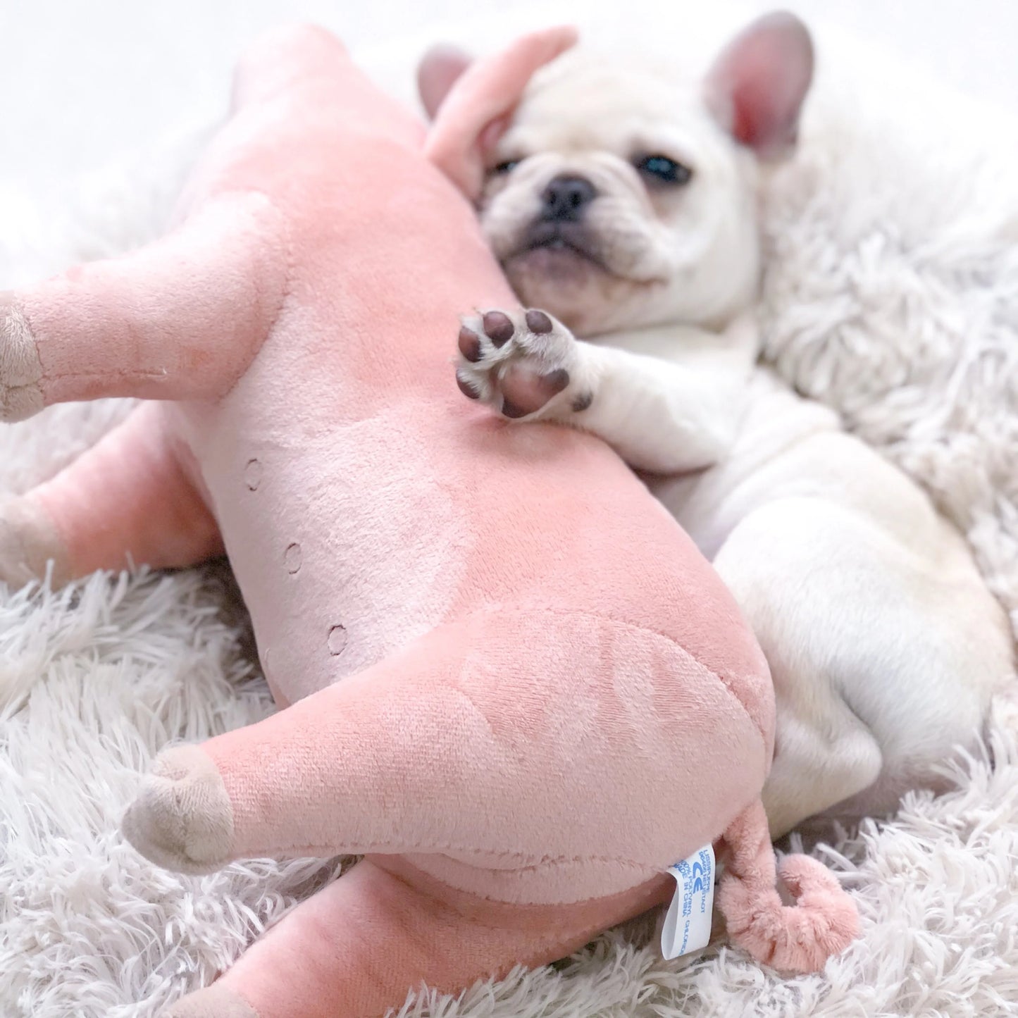 XLeiPet Plush Pig Dog Chew Sleeping Toy For Small Dogs