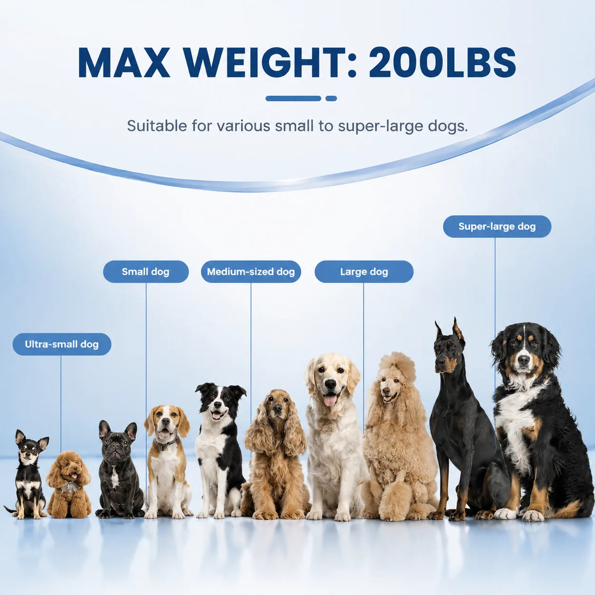 Vancen Inflatable Dog Ramp Durable Portable Outdoor Essential