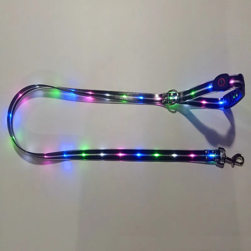 LED Light Up Dog Leash USB Rechargeable for Night Walks