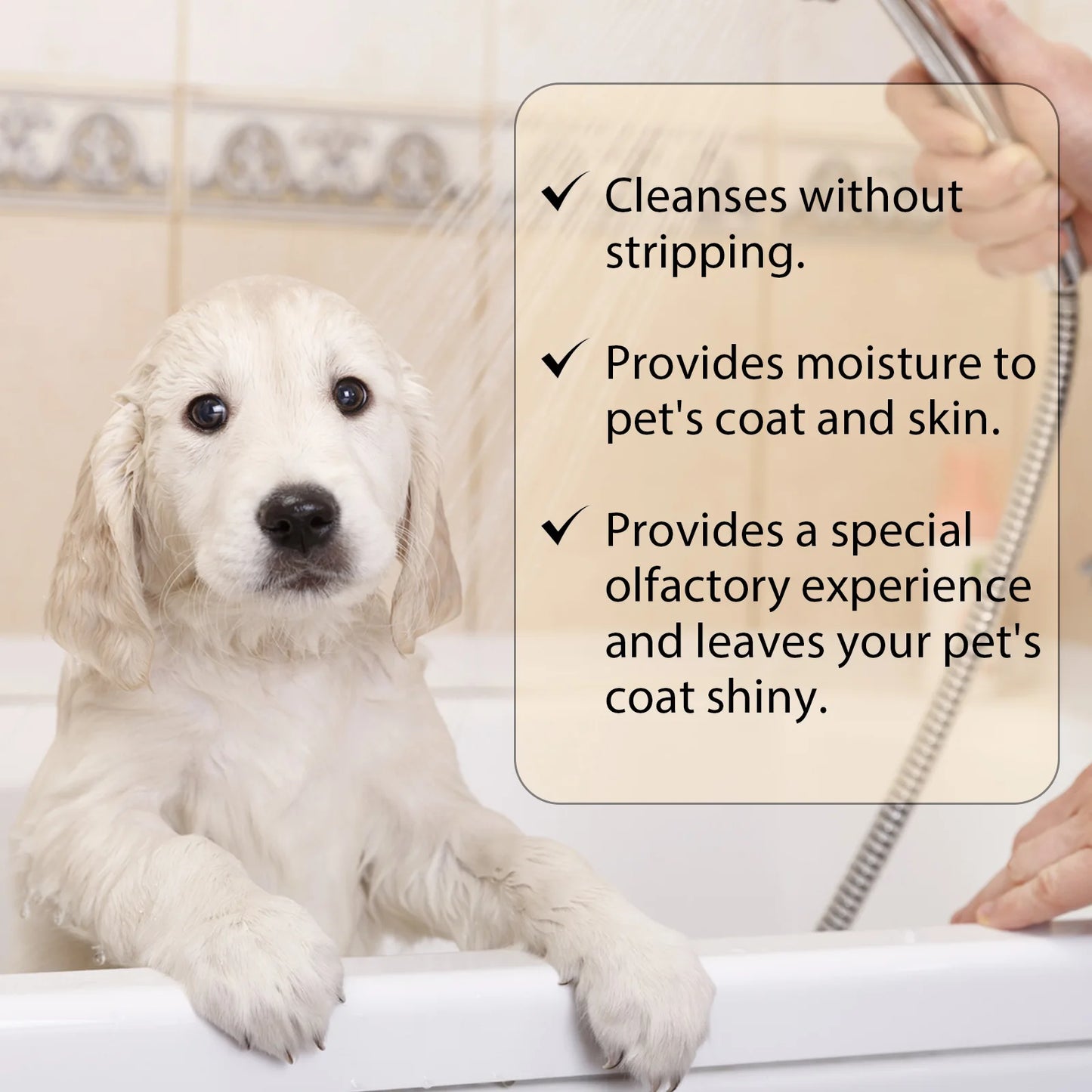YEGBONG Gentle Pet Cleaning Shampoo For Dogs And Cats