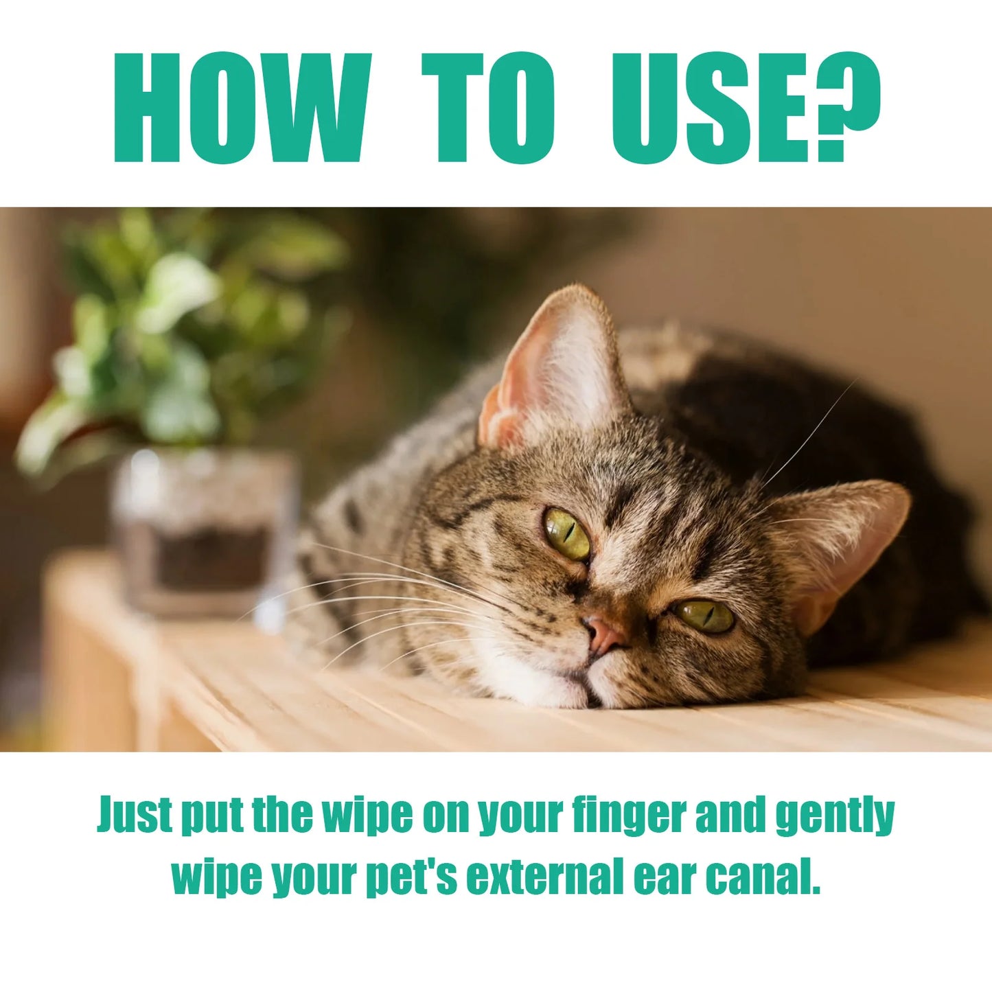 YEGBONG Pet Ear Cleaning Finger Wipes for Dogs and Cats