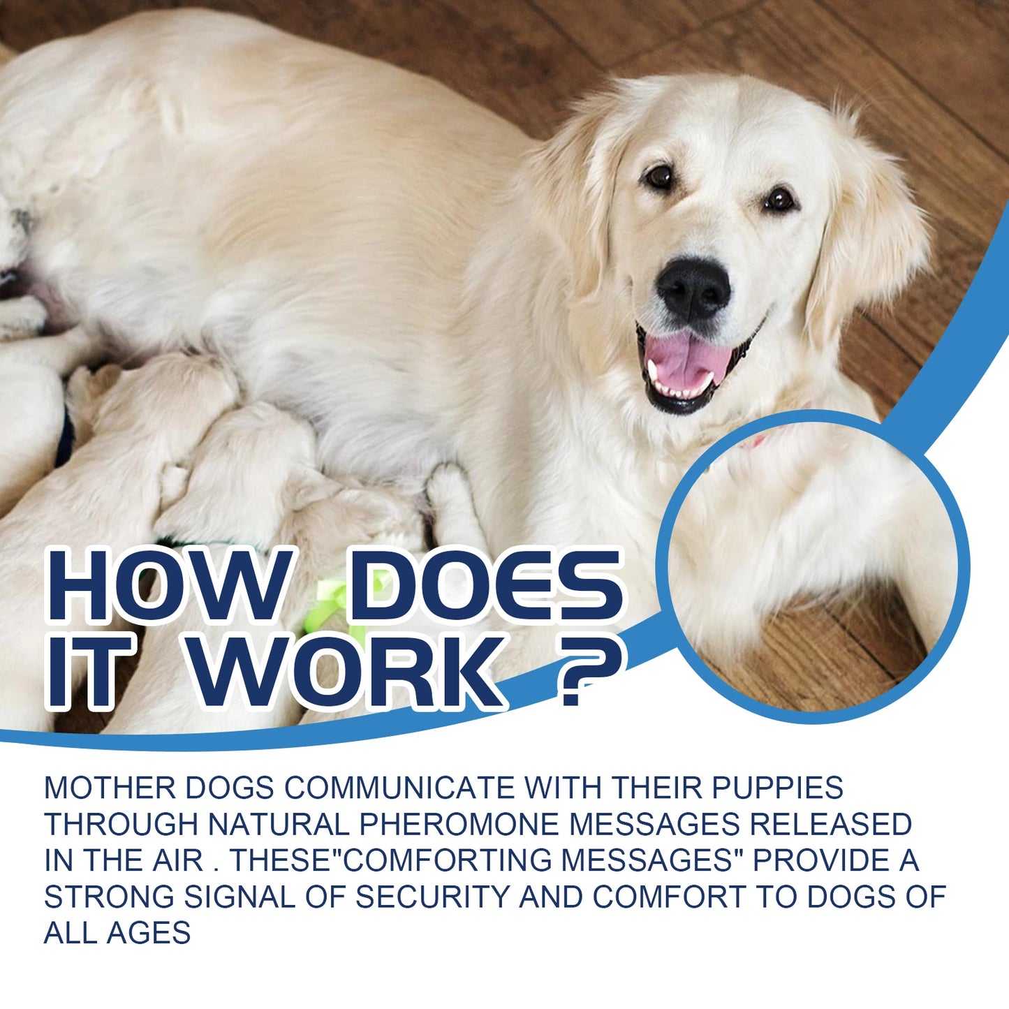 YEGBONG Pet Emotional Care Solution for Anxiety and Stress Relief