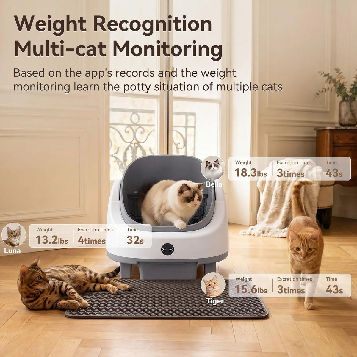 Nordivale Automatic Self Cleaning Litter Box With App Control