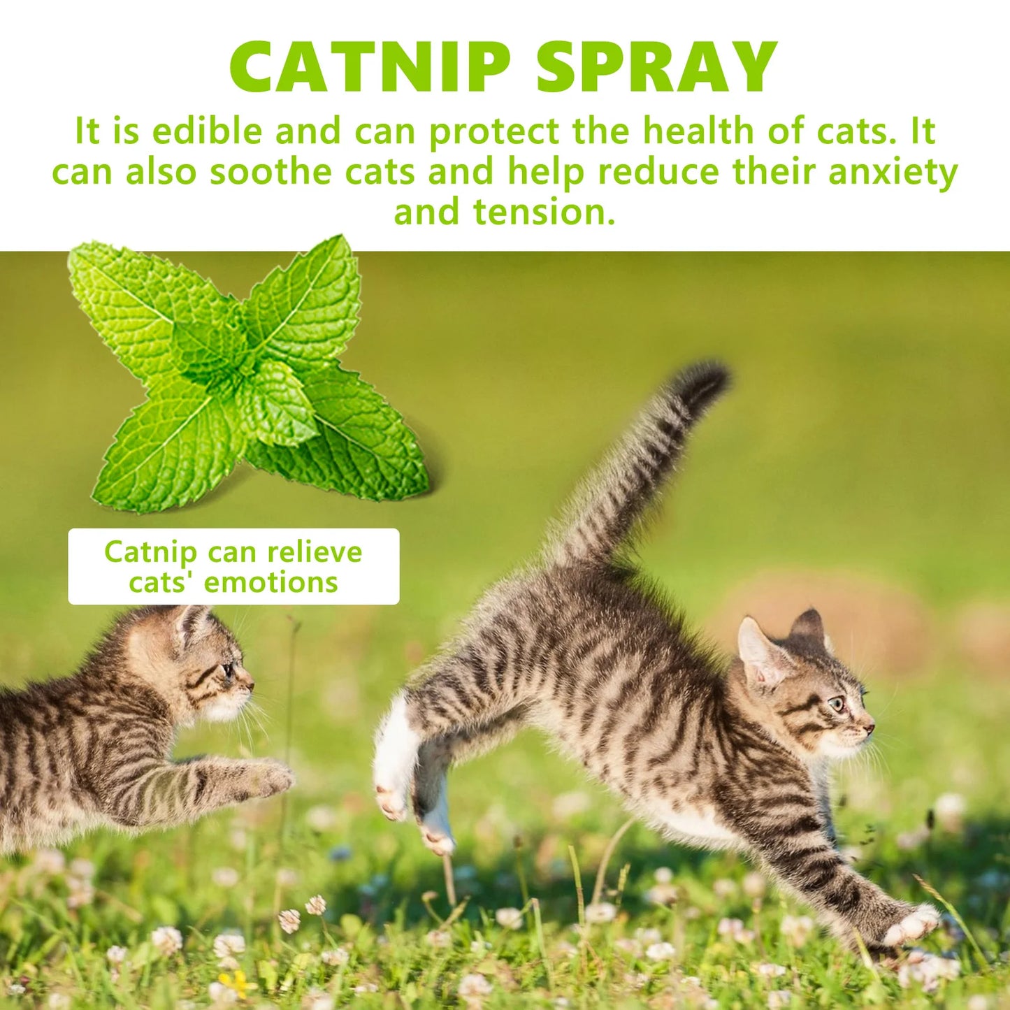 YEGBONG Catnip Spray Soothing Mist For Cat Health Natural