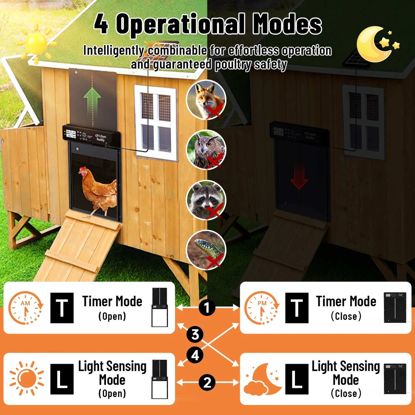Stainless Steel Chicken Coop Door for Secure Poultry Access