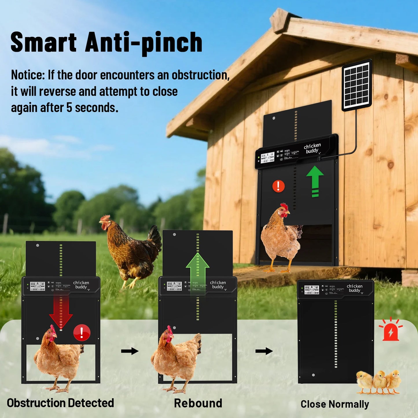 Stainless Steel Chicken Coop Door for Secure Poultry Access