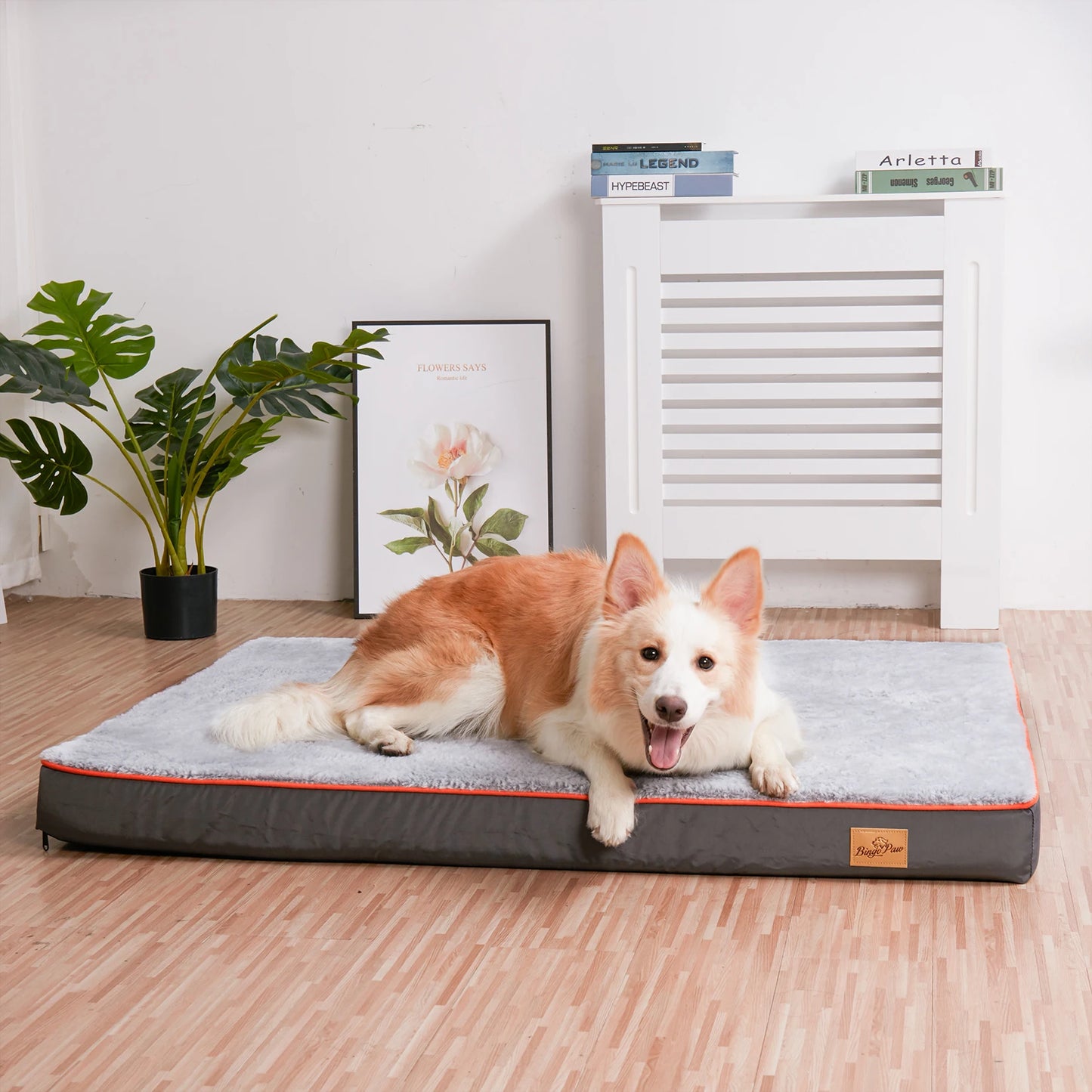 BINGOPAW Waterproof Memory Foam Dog Bed With Removable Washable Cover