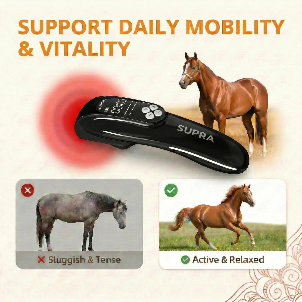 Veterinary 808nm Laser Therapy Device For Horses Pain Relief