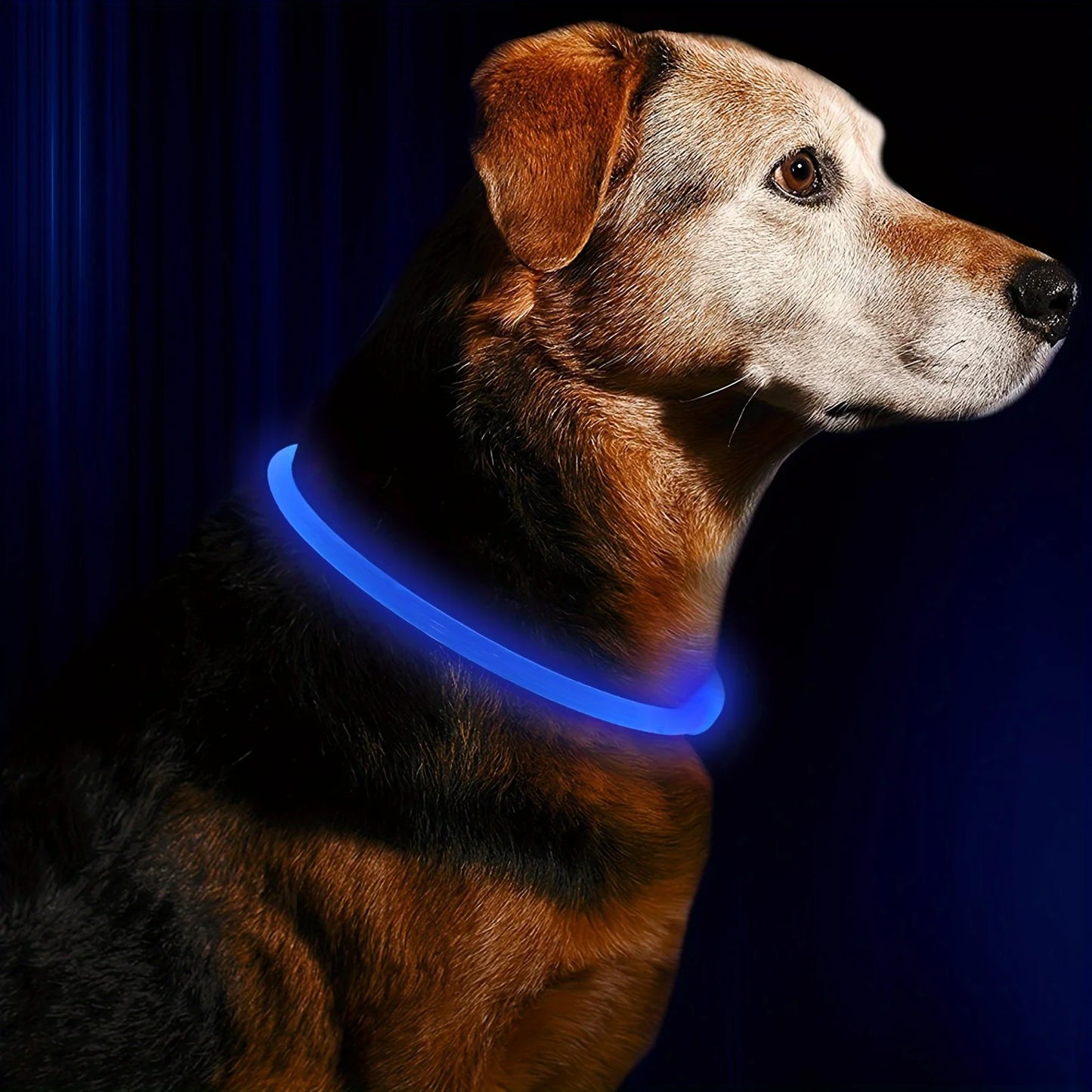 LED Light Dog Collar USB Rechargeable Reflective Necklace