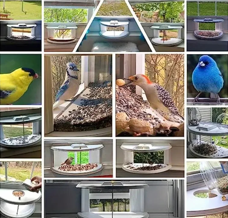 Window Bird Feeder With Recessed Design 180 Degree Clear View Tray