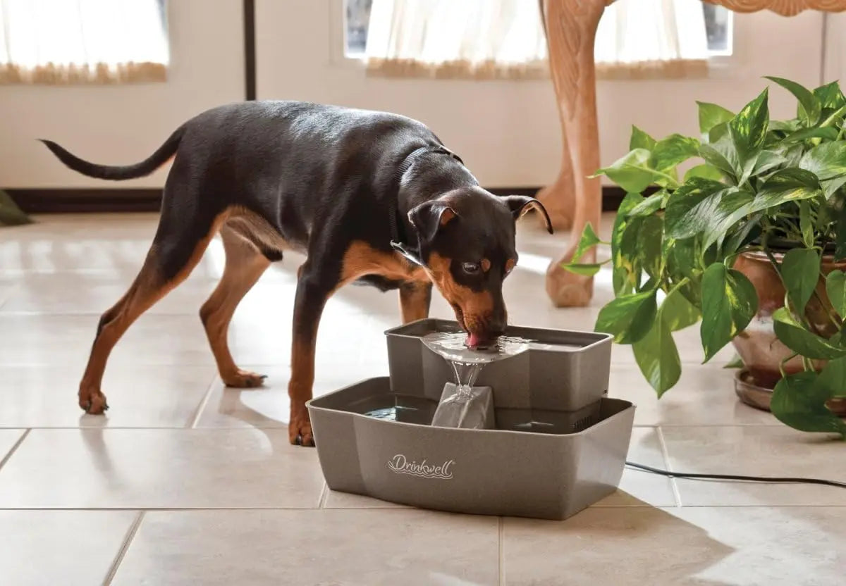Multi-Tier Pet Fountain For Cats And Dogs With Filtration