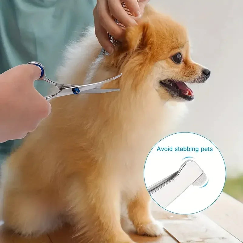 Ambidextrous Pet Safe Scissors For Dog Grooming Precision