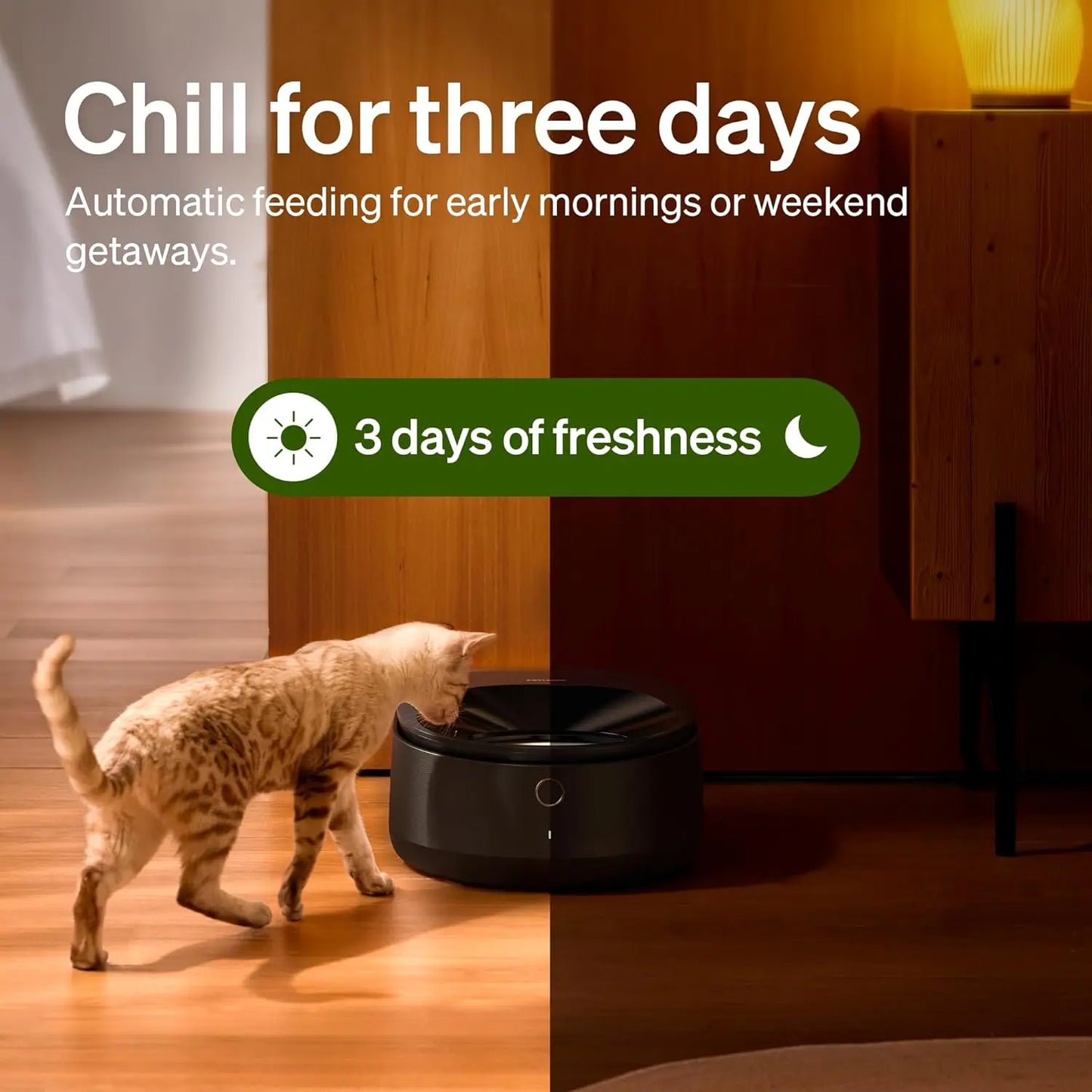 Semiconductor Cooling Wet Pet Food Feeder With App Control