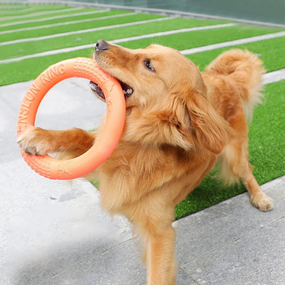 Dog Toy Flying Disk Ring Puller Eva Interactive Training