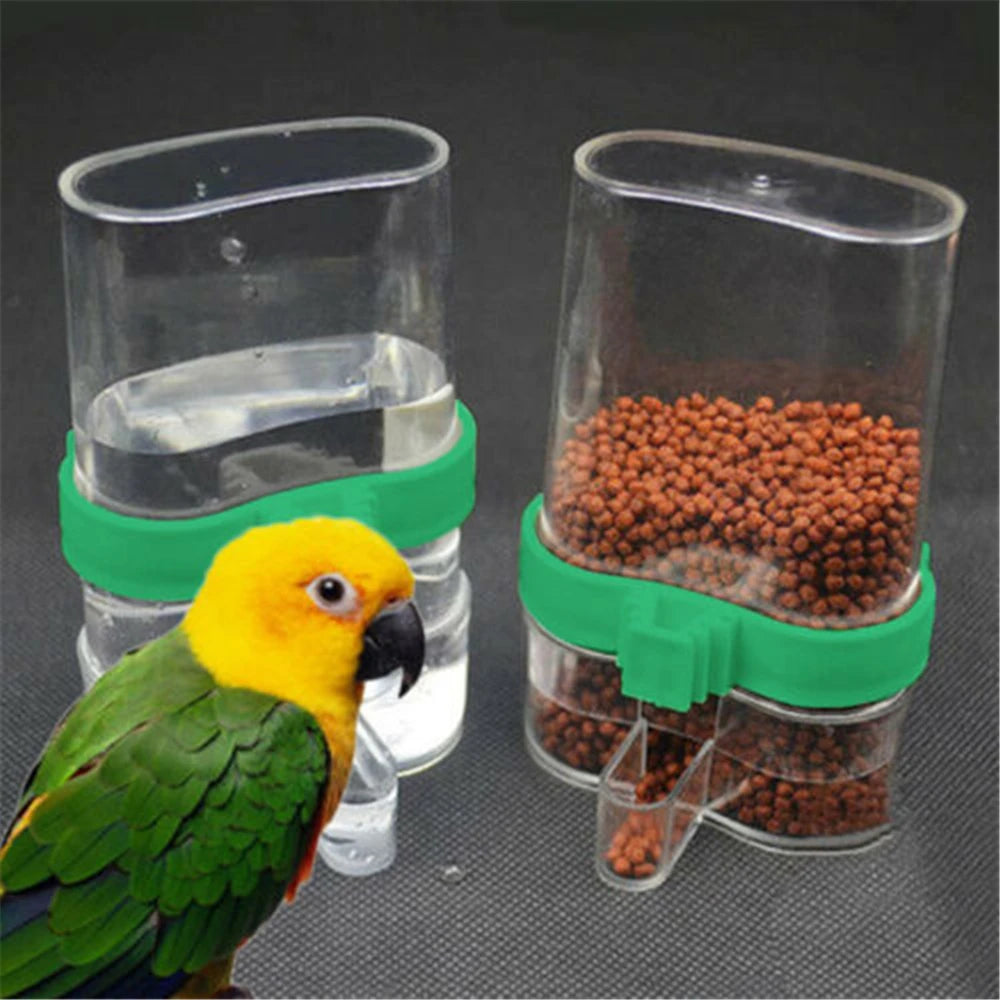 Automatic Parrot Feeder and Drinker Cup for Bird Supplies