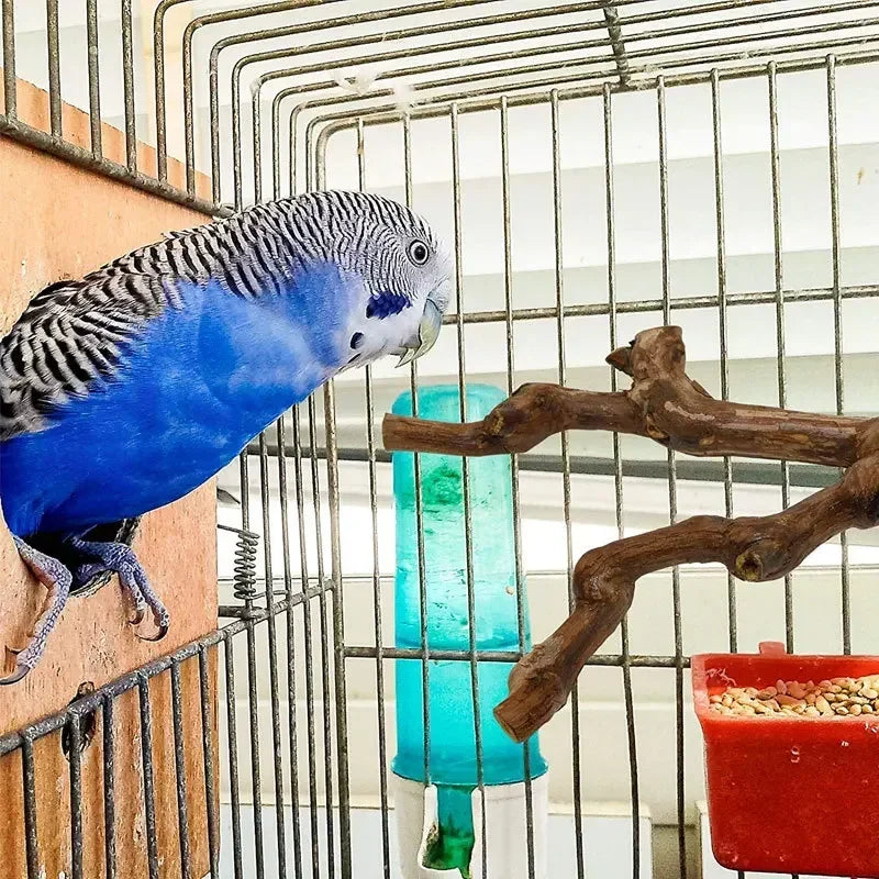 Grapewood Bird Perch And Grinding Toy For Parrots Cockatiels Parakeets