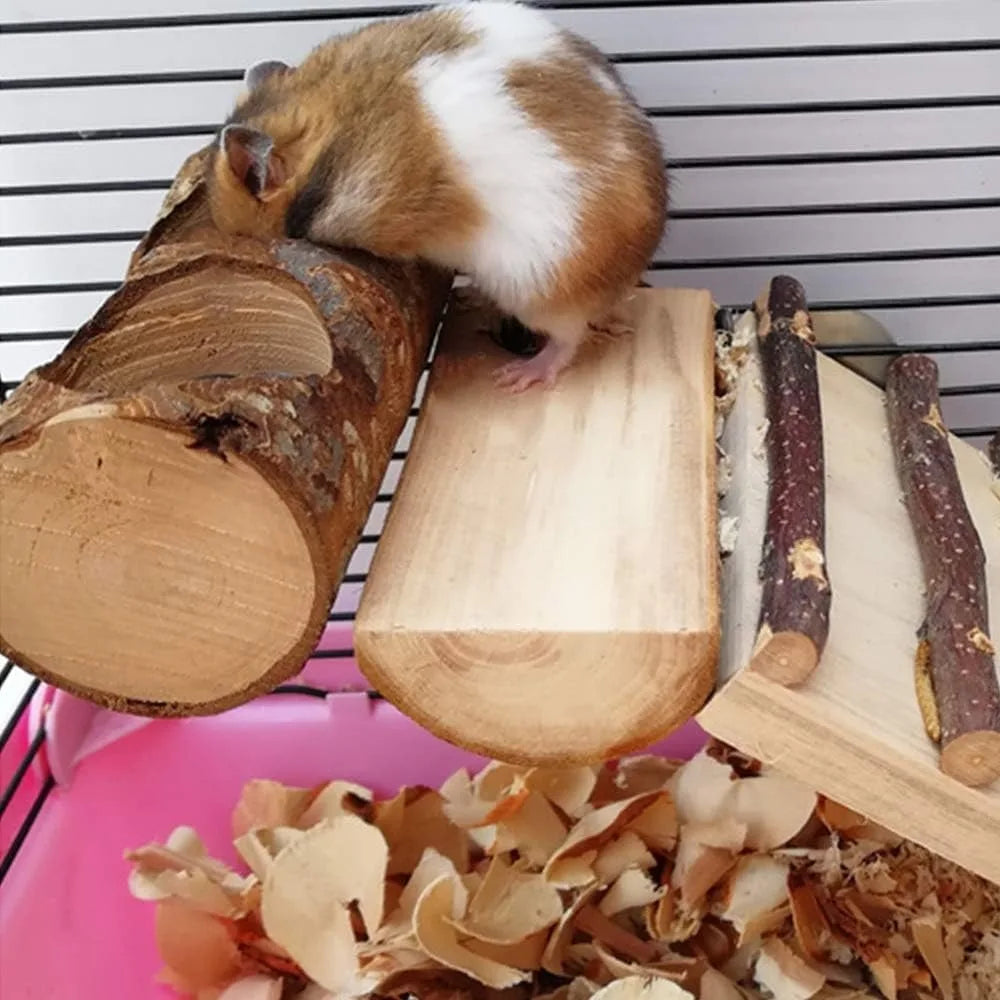 NONECN 4-Pack Natural Wood Bird Perch Toys