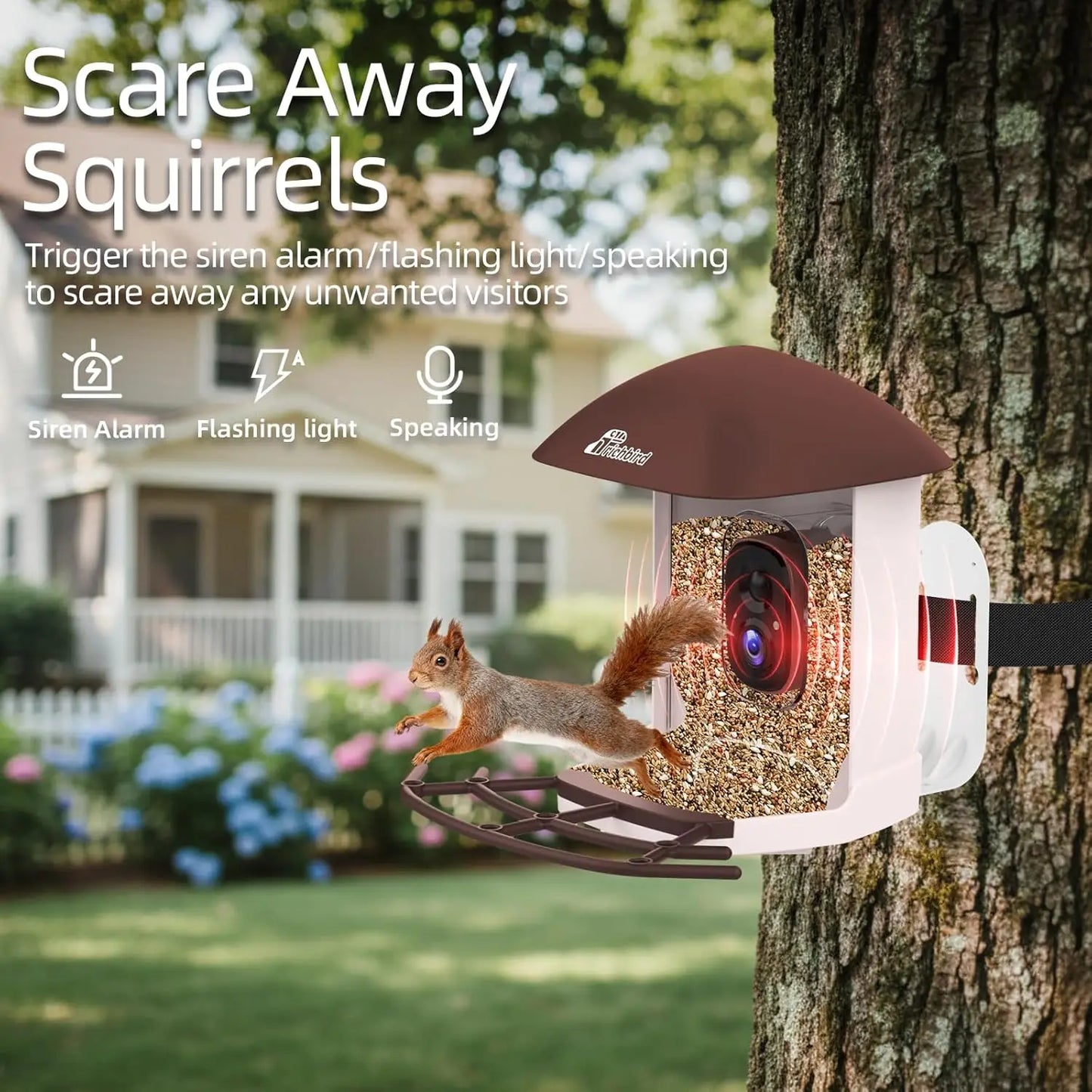 2.5K HD Solar Bird Feeder Camera With AI Recognition Alerts