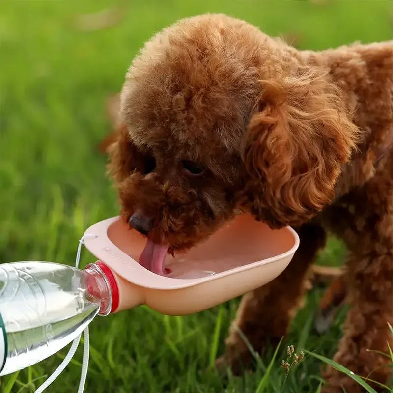 Dog Travel Water Bottle Portable Pet Water Feeder For Outdoor