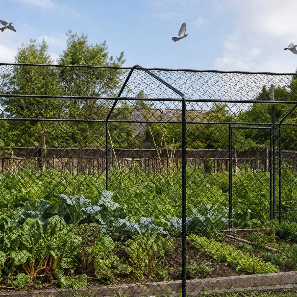 Byamaocar UV Resistant Polyester Bird Netting For Garden Use