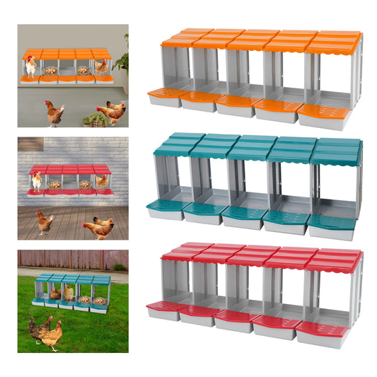 Five-Compartment Chicken Nesting Box With Roll Away Egg Collection