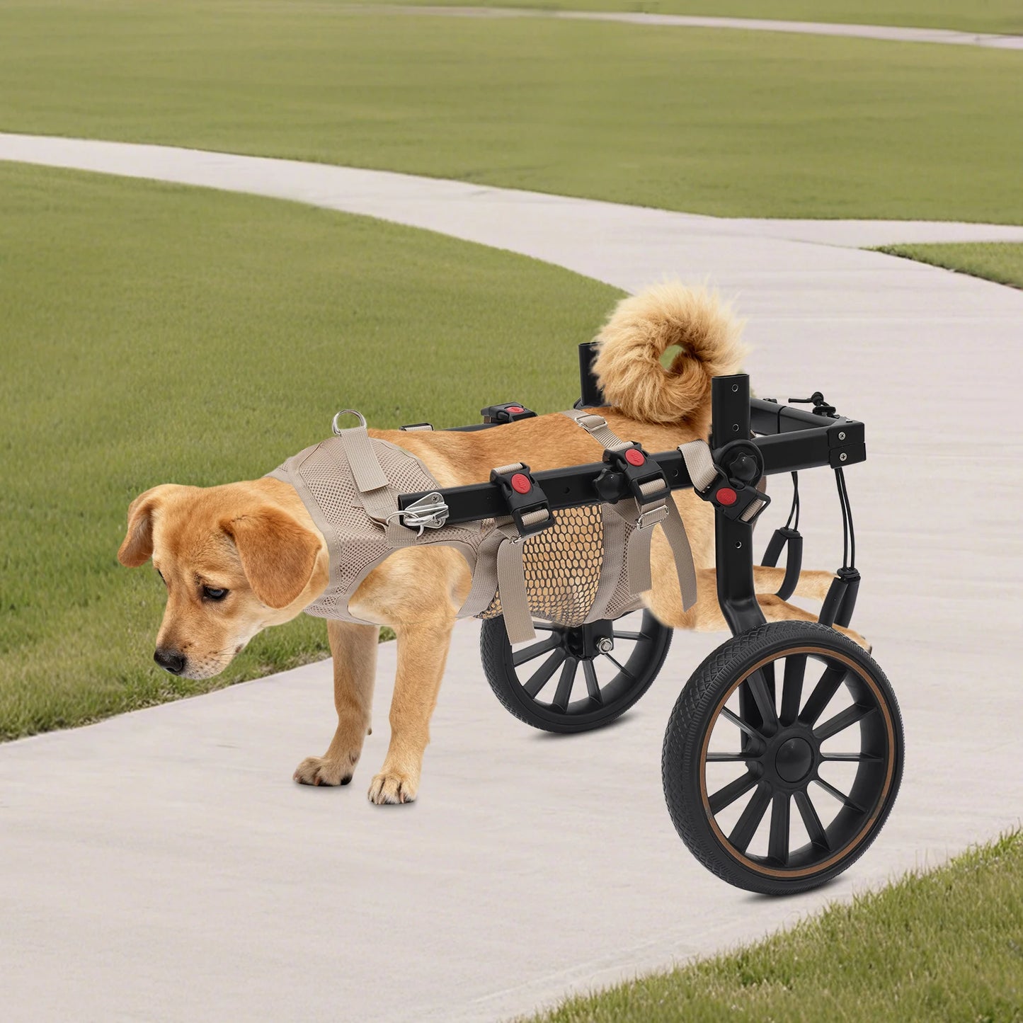 Bymaocar Pet Walking Aid Wheelchair For Senior Dogs Back Legs
