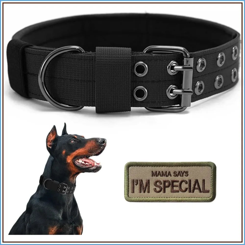Military Grade Dog Collar With 1000D Nylon Adjustable Padded Buckle