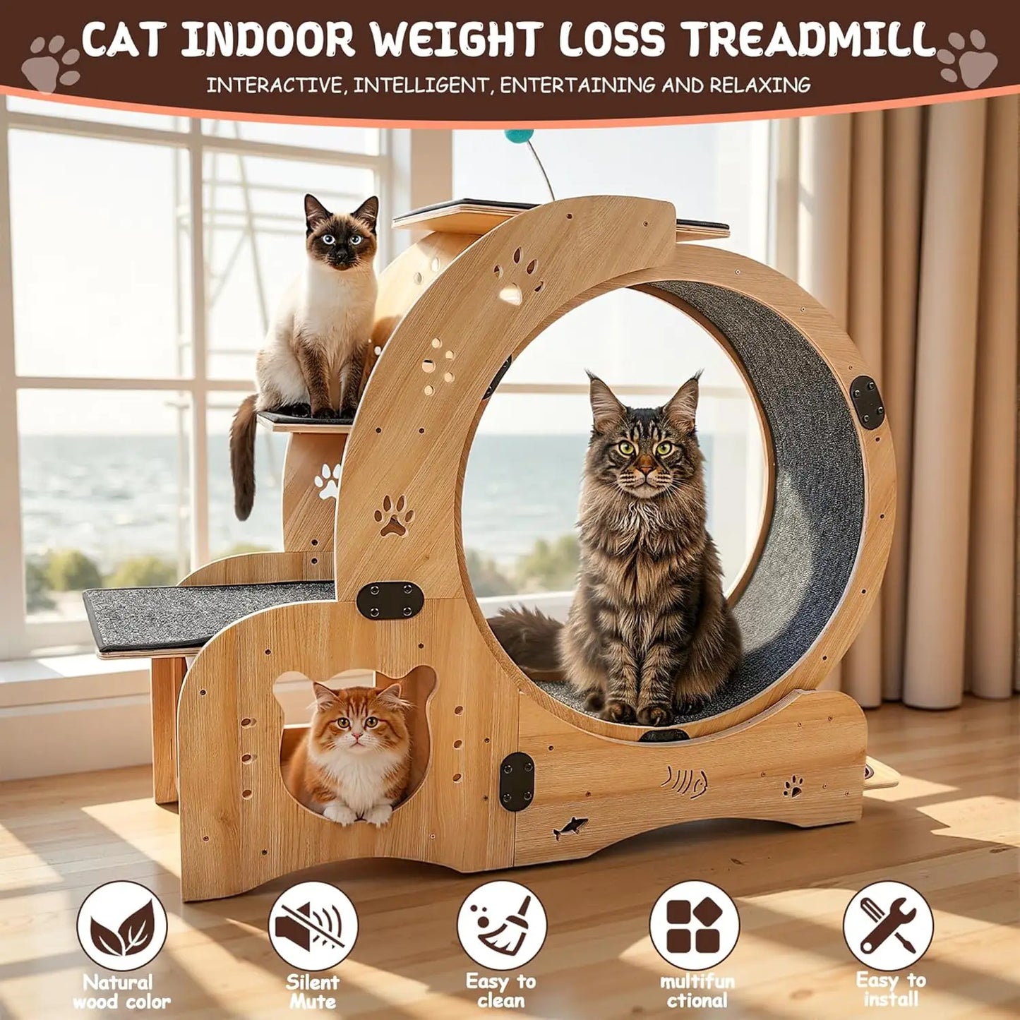Cat Wheel Six in One Indoor Exercise and Scratching Station