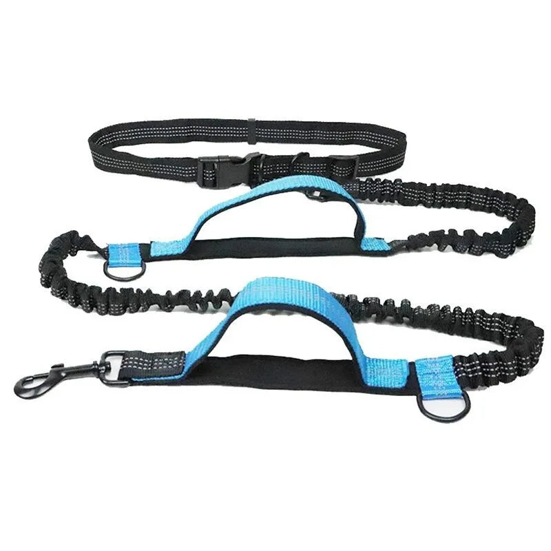 Pet Retractable Belt Leash Reflective Hands Free Dog Leash Running