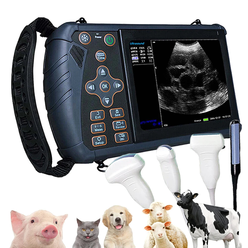 DAWEI Portable Veterinary Ultrasound Scanner B Ultra Pregnancy for Farm Animals