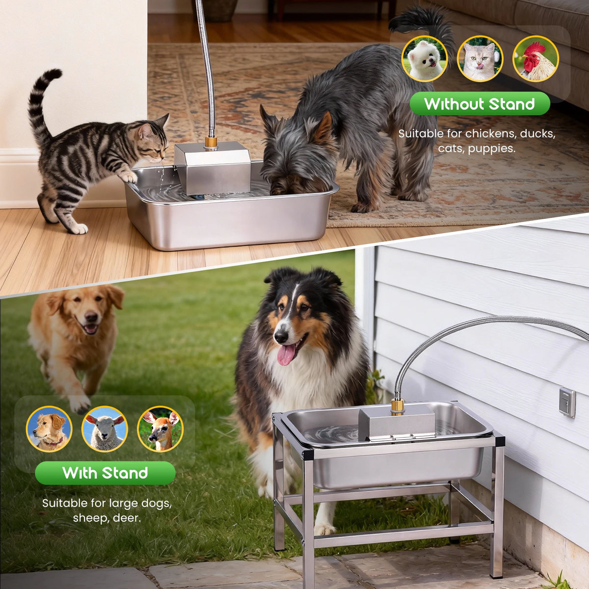 Durable Stainless Steel Elevated Dog Drinking Bowl For Pets
