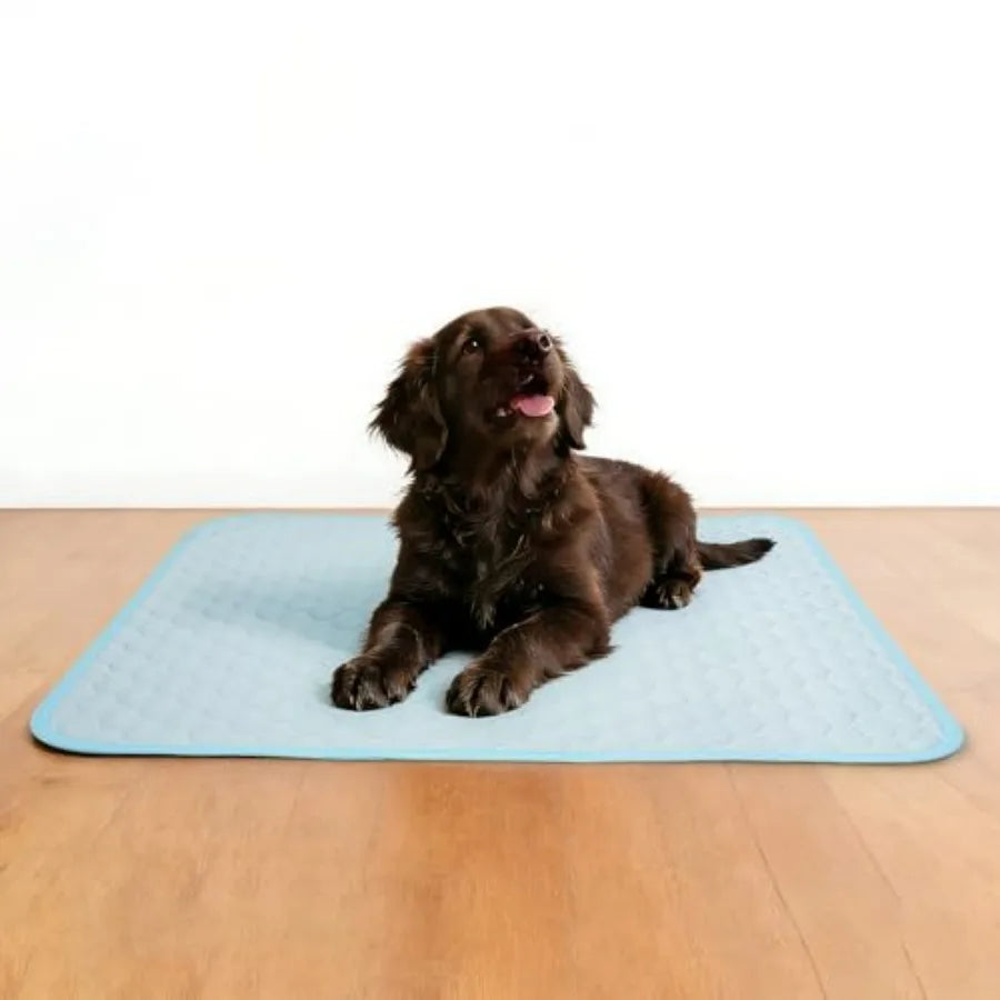 Anti Slip Washable Cooling Mat For Comfortable Pets