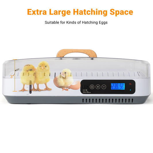 TLXT 35 Egg Incubator With Automatic Egg Turning Humidity Control
