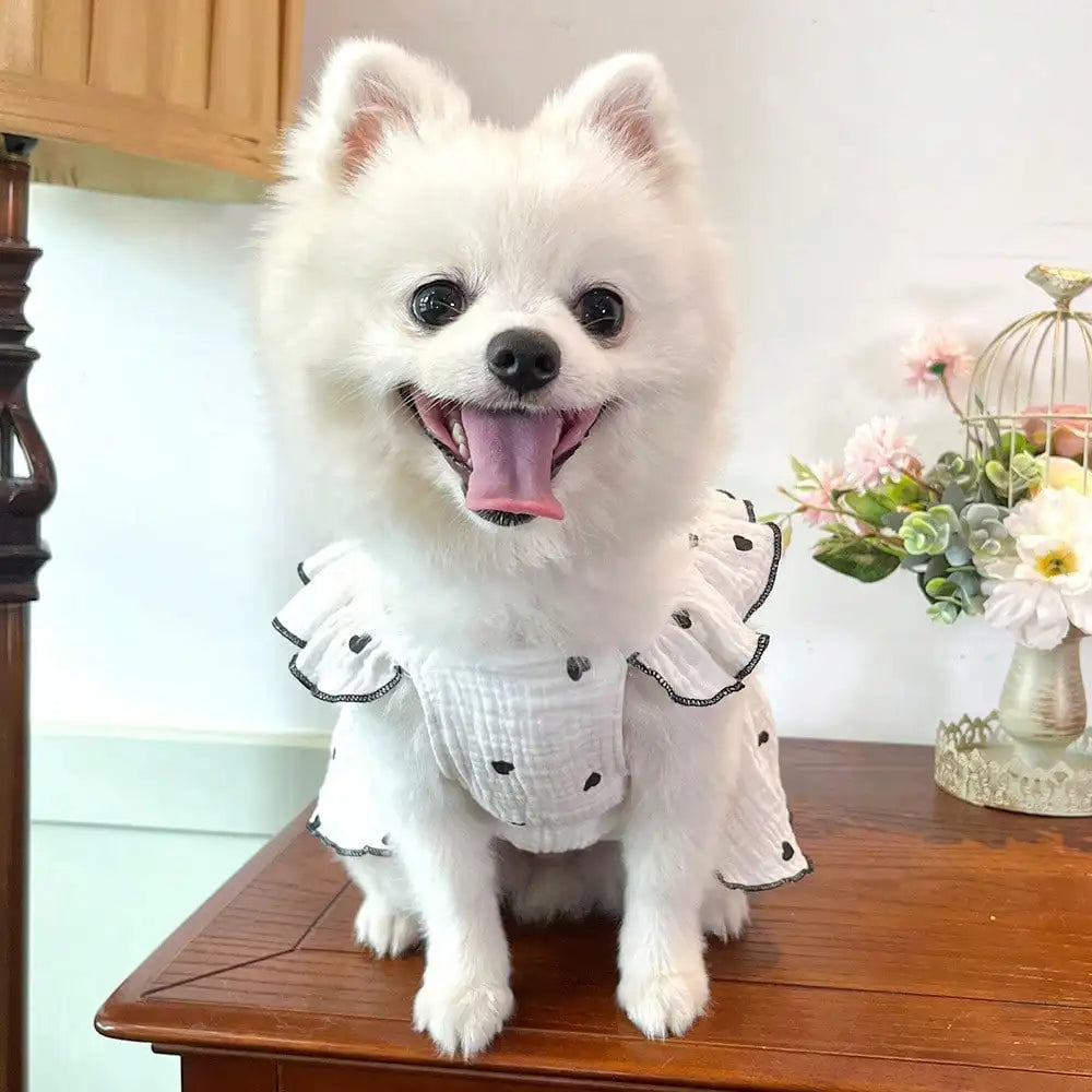 Love Pattern Spring Summer Pet Dress For Dogs And Cats