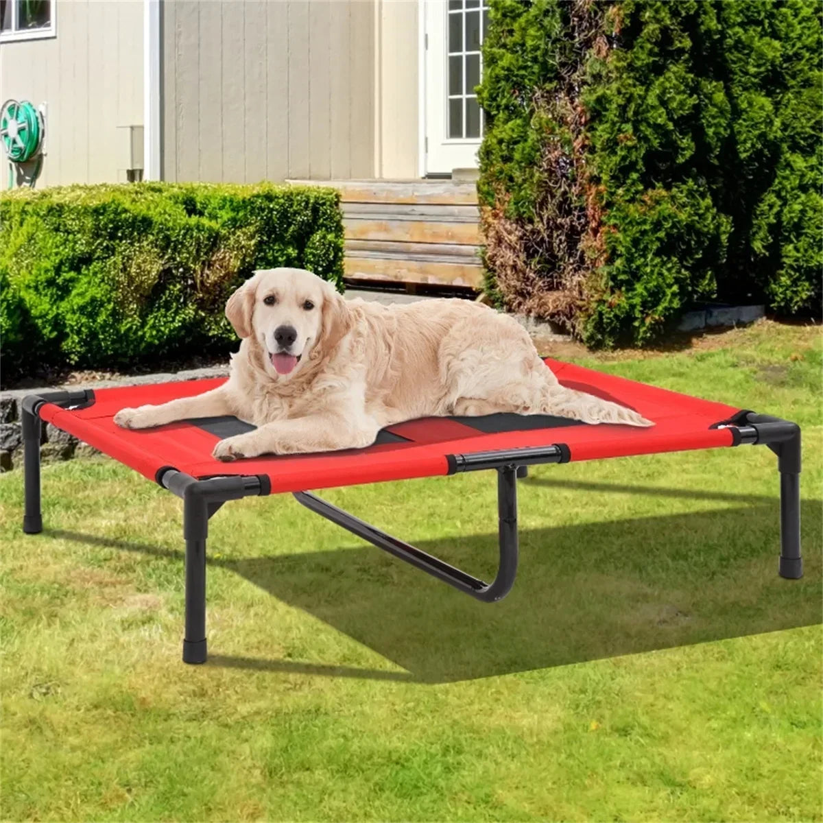 Moisture Proof Dog Bed With Breathable Mesh Fabric And Durable Steel Frame