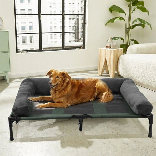 BORWART CN Outdoor Raised Dog Bed With Cooling Breathable Soft Plush Mat