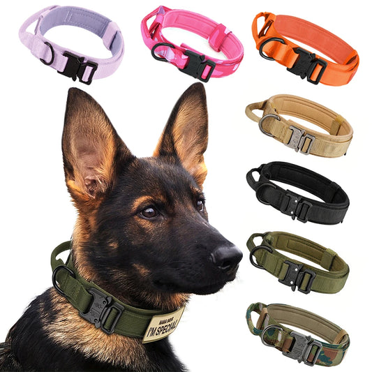 Adjustable Dog Training Collar And Leash Set With Control Handle