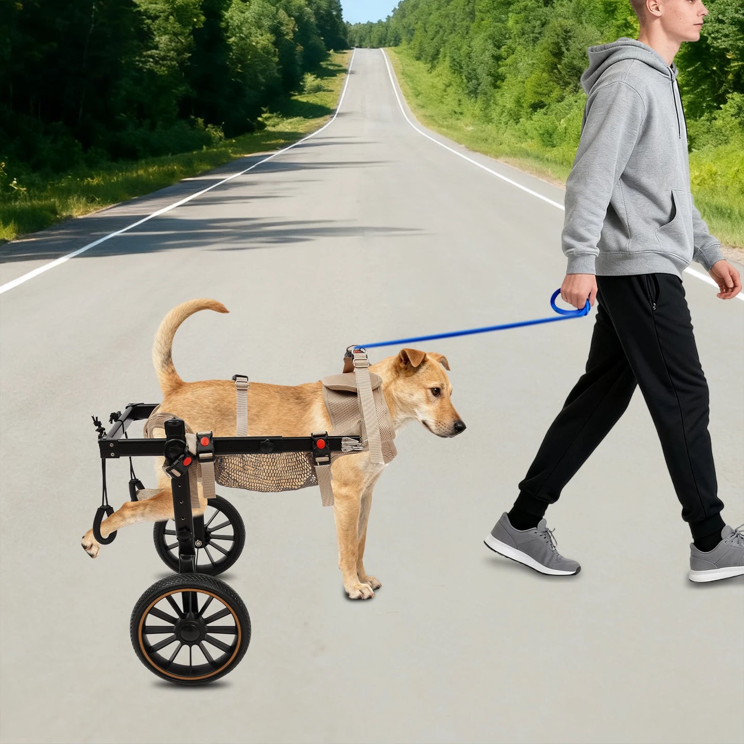 Bymaocar Pet Walking Aid Wheelchair For Senior Dogs Back Legs