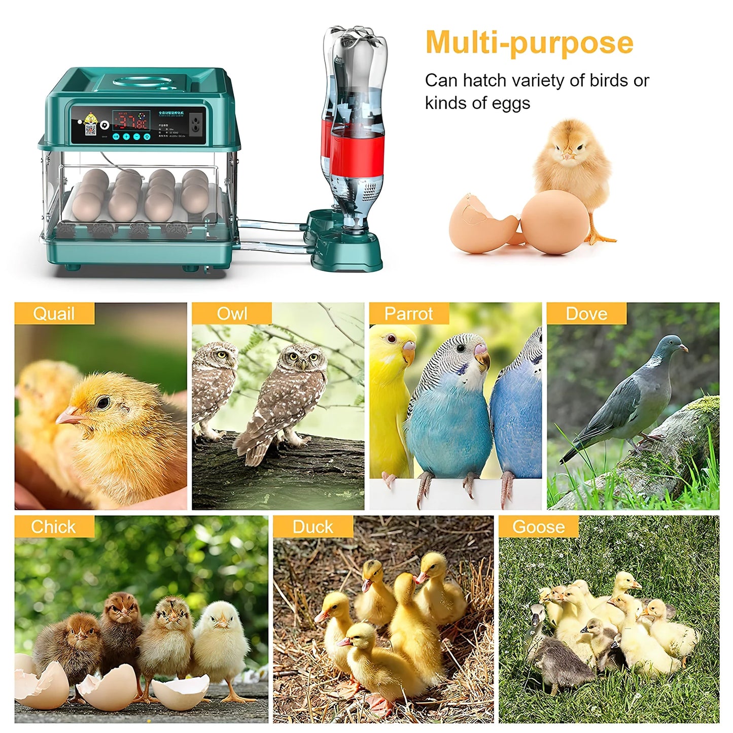 Egg Automatic Incubator for Poultry Hatching Machines