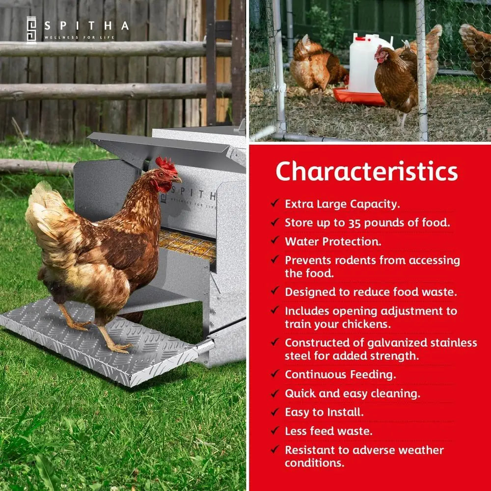 Stainless Steel Automatic Chicken Coop Feeder Rodent Proof Weather Resistant
