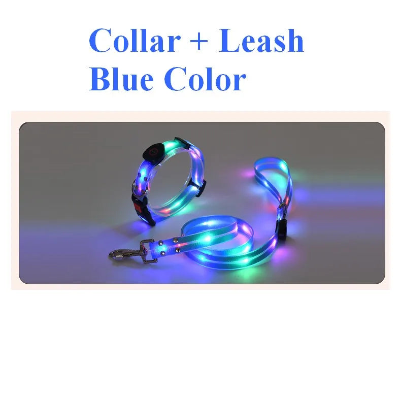 Dog Led Light Up Leash Usb Rechargeable Pvc Webbing