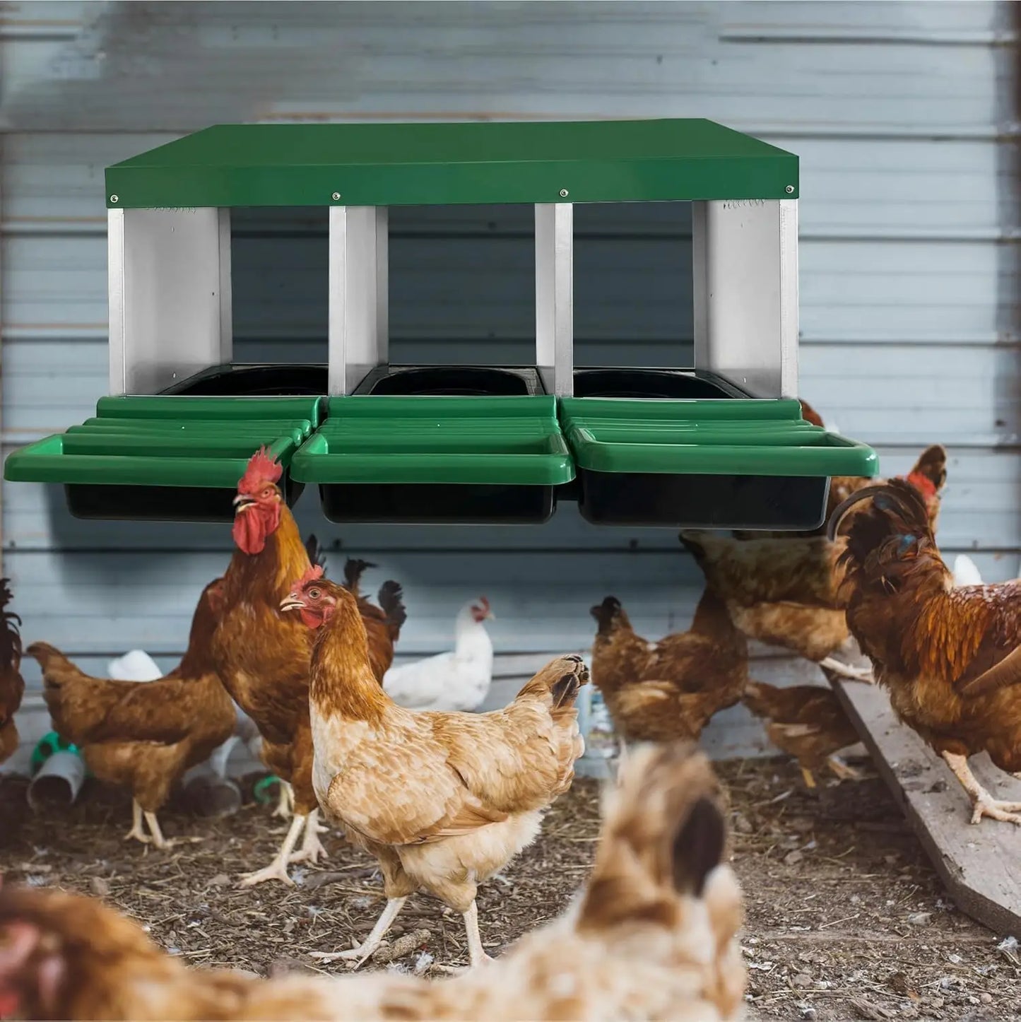 HiMISS 3 Compartment Roll Out Nesting Box for Chickens