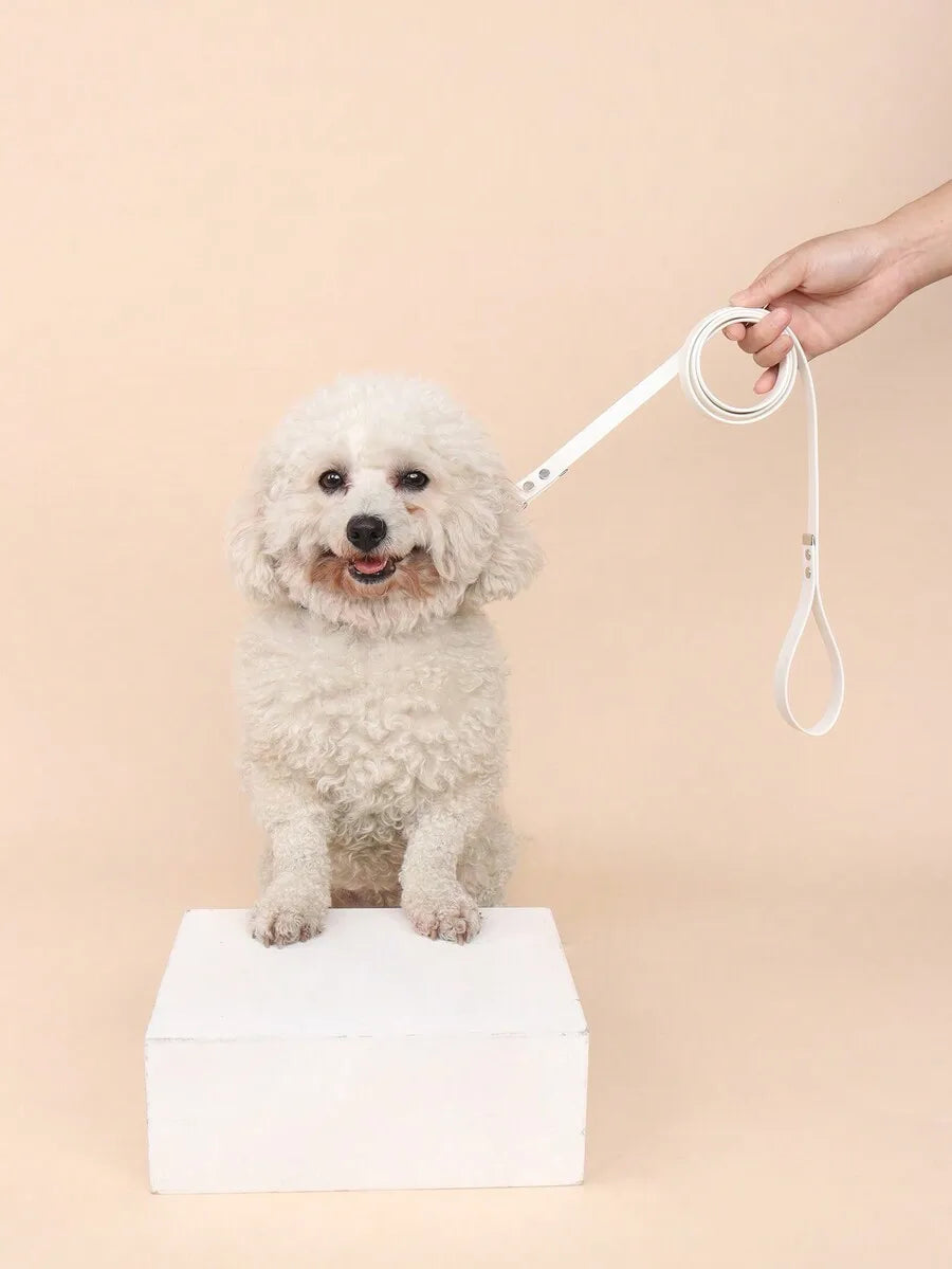 Essential PU Leash For Cats And Small Dogs Outdoor Walking