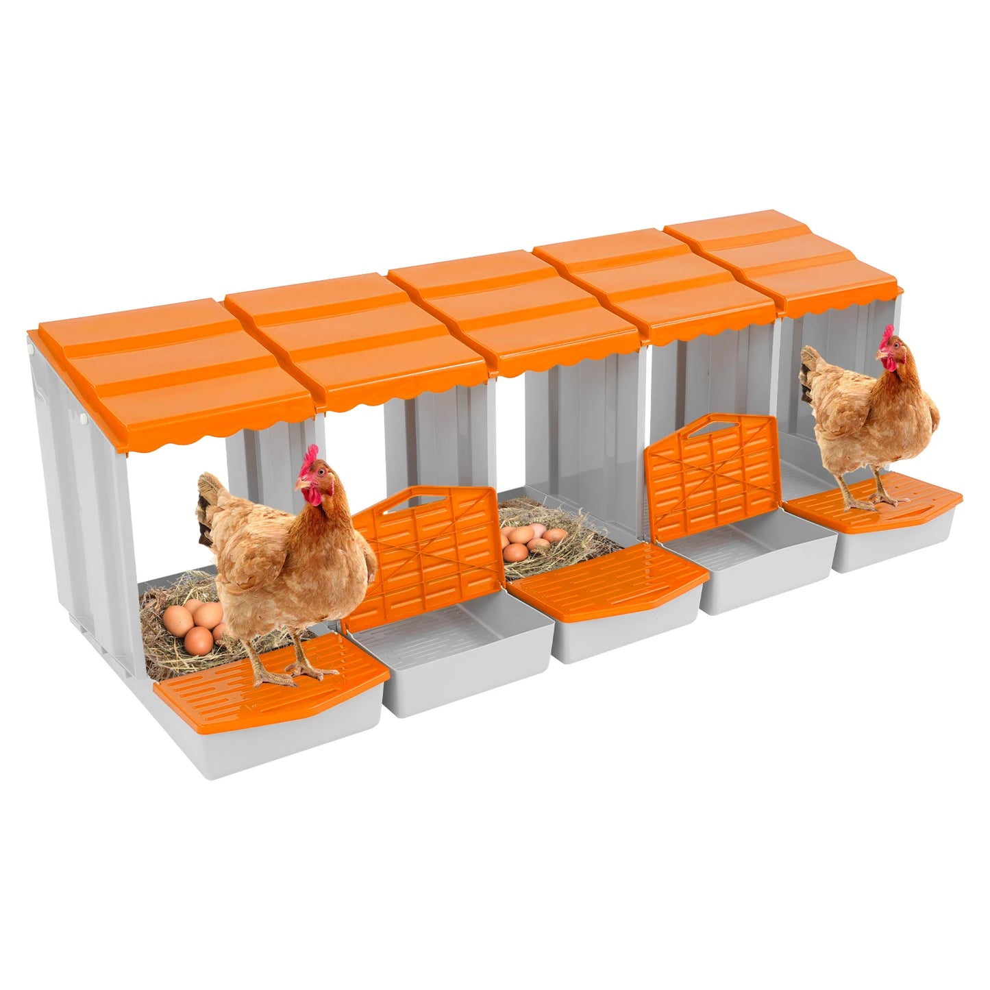Five-Compartment Chicken Nesting Box With Roll Away Egg Collection