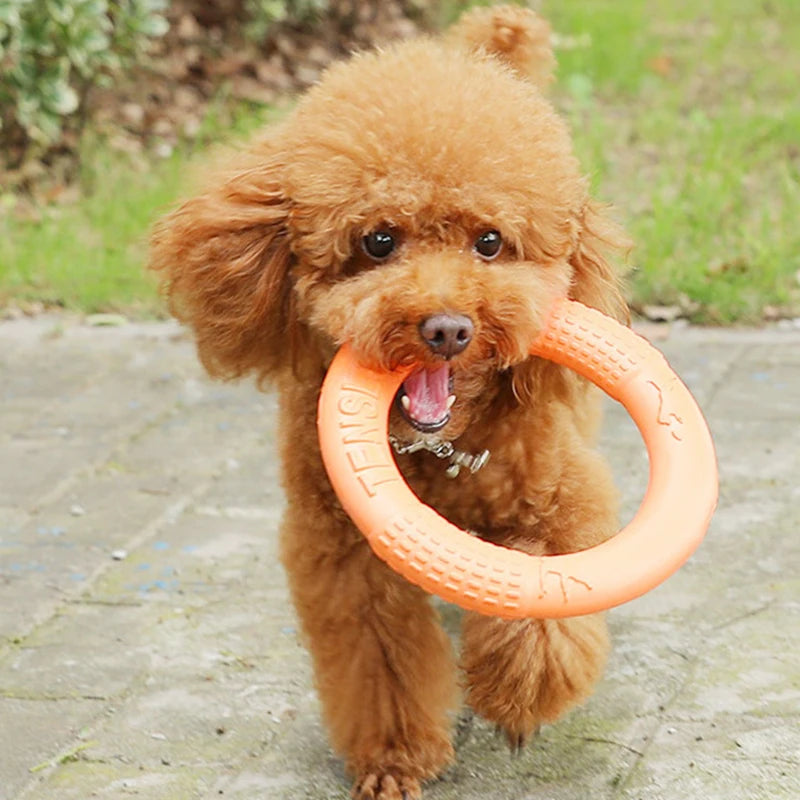 Dog Toy Flying Disk Ring Puller Eva Interactive Training