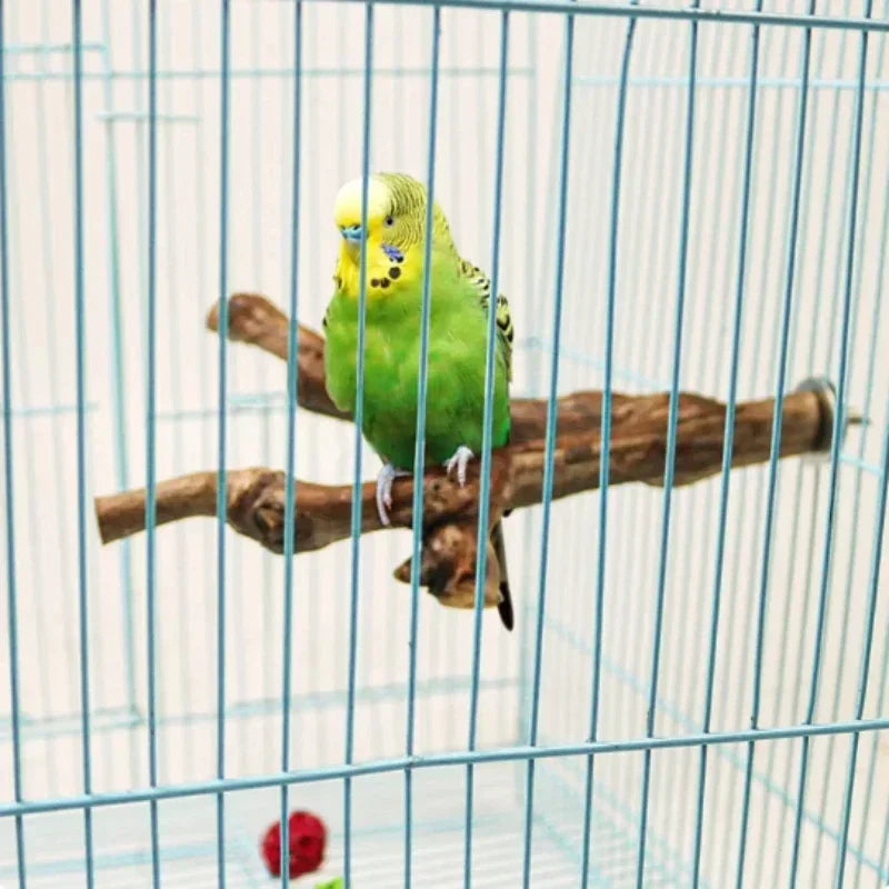 Grapewood Bird Perch And Grinding Toy For Parrots Cockatiels Parakeets