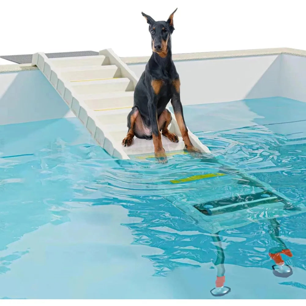 Foldable Dog Pool Ramp With Adjustable Legs For Safe Access