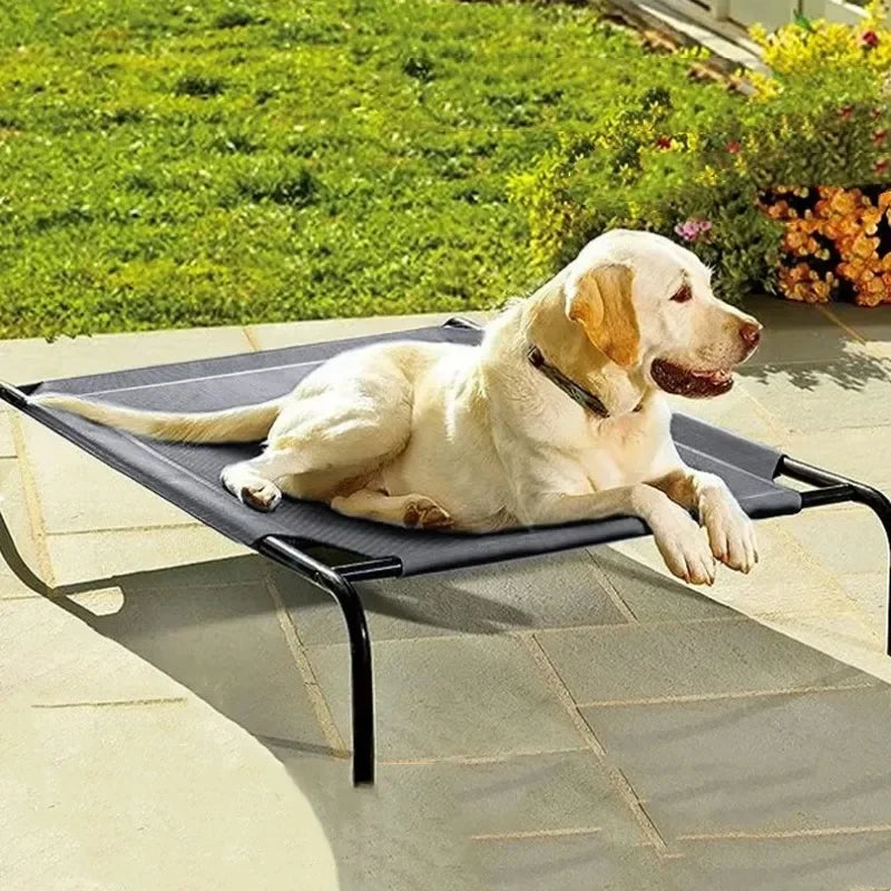 Detachable Breathable Dog Bed With Steel Frame For Large Dogs